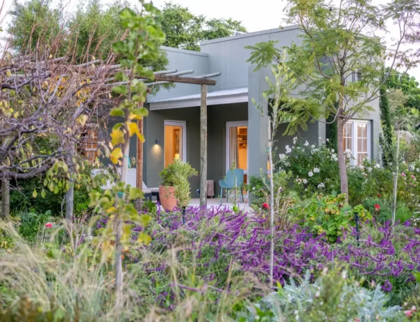 The cottages at 81 On Church at dusk, salvia in the foreground and windows lit