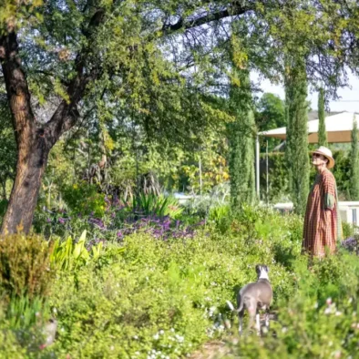 A figure walking through the garden at 81 On Church