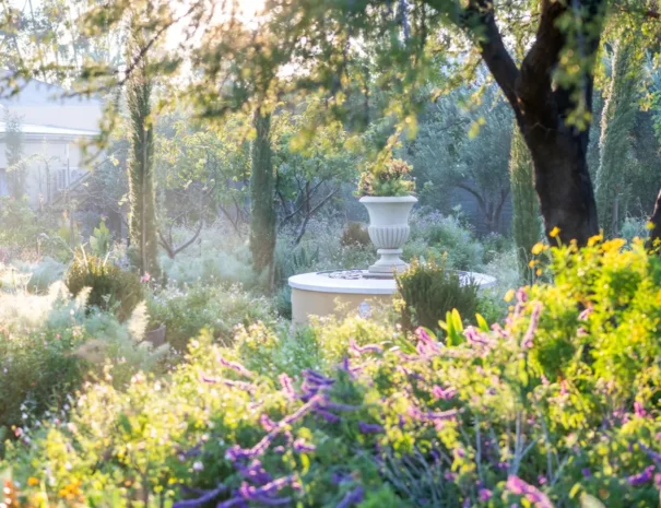 Garden urns backlit at golden hour at 81 On Church