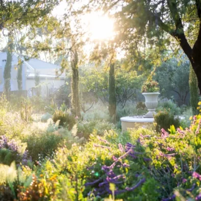 Garden urns in morning light at 81 On Church