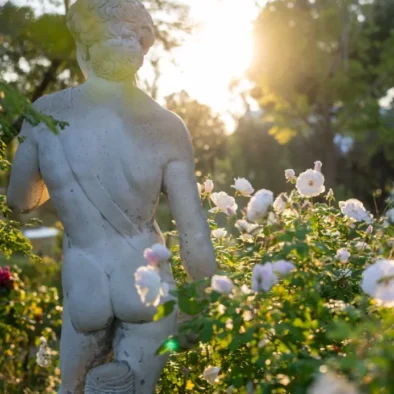 A statue backlit among white roses at 81 On Church
