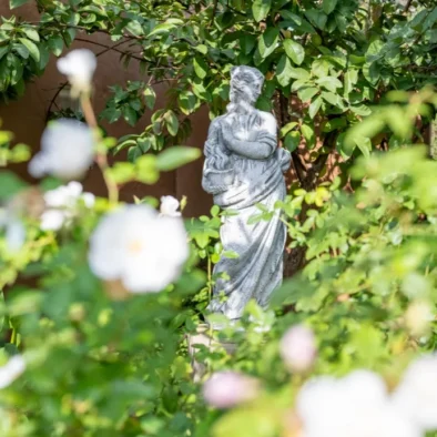 A statue framed by climbing roses at 81 On Church