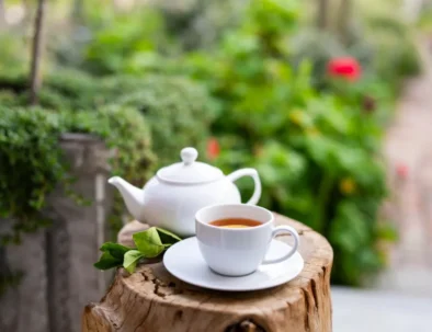 Tea for two laid out in the garden at 81 On Church